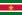 File:Flag of Suriname.png