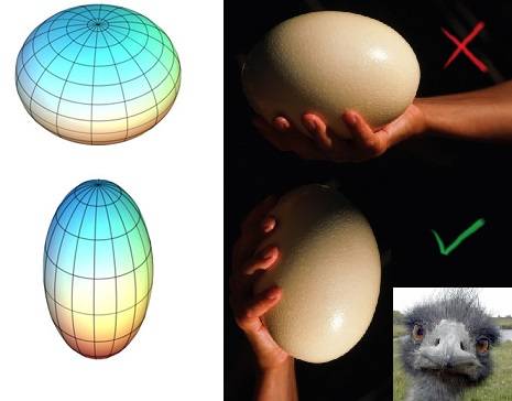 An oblate spheroid (top left), a prolate spheroid (bottom left), and an ostrich egg, which is a prolate spheroid however you hold it