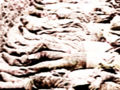 Thumbnail for version as of 18:38, 7 January 2007