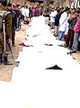 Thumbnail for version as of 09:13, 24 July 2009