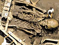 Thumbnail for version as of 12:55, 26 January 2011