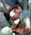 Thumbnail for version as of 09:56, 29 July 2009