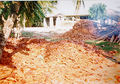 Thumbnail for version as of 13:44, 30 April 2011