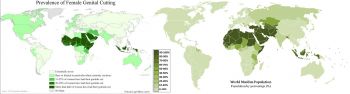 World maps comparing distributions of FGM and of Muslims