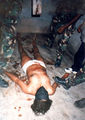 Thumbnail for version as of 13:16, 11 January 2012