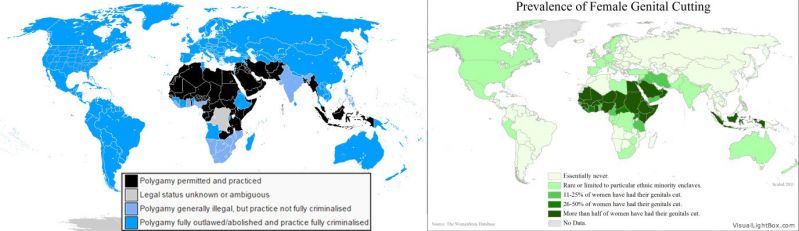 File:Polygamy-fgm.jpg