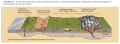 Thumbnail for version as of 01:05, 11 May 2023