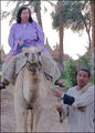 Thumbnail for version as of 07:41, 11 April 2013