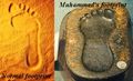 Thumbnail for version as of 19:13, 12 March 2011