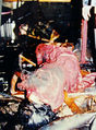 Thumbnail for version as of 13:13, 11 January 2012
