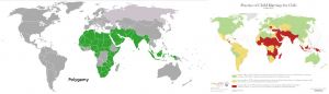 Maps comparing the global distributions of polygamy and of child marriage