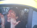 Thumbnail for version as of 12:57, 28 July 2009