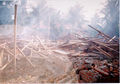 Thumbnail for version as of 13:43, 30 April 2011