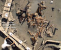 Thumbnail for version as of 02:21, 15 January 2007