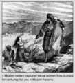 Thumbnail for version as of 11:55, 29 July 2009